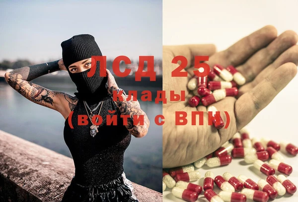 ПСИЛОЦИБИНОВЫЕ ГРИБЫ Абинск