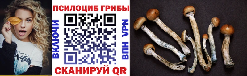Галлюциногенные грибы Magic Shrooms  купить наркотики цена  Абдулино 